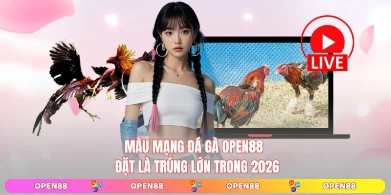 Màu mạng gà đá